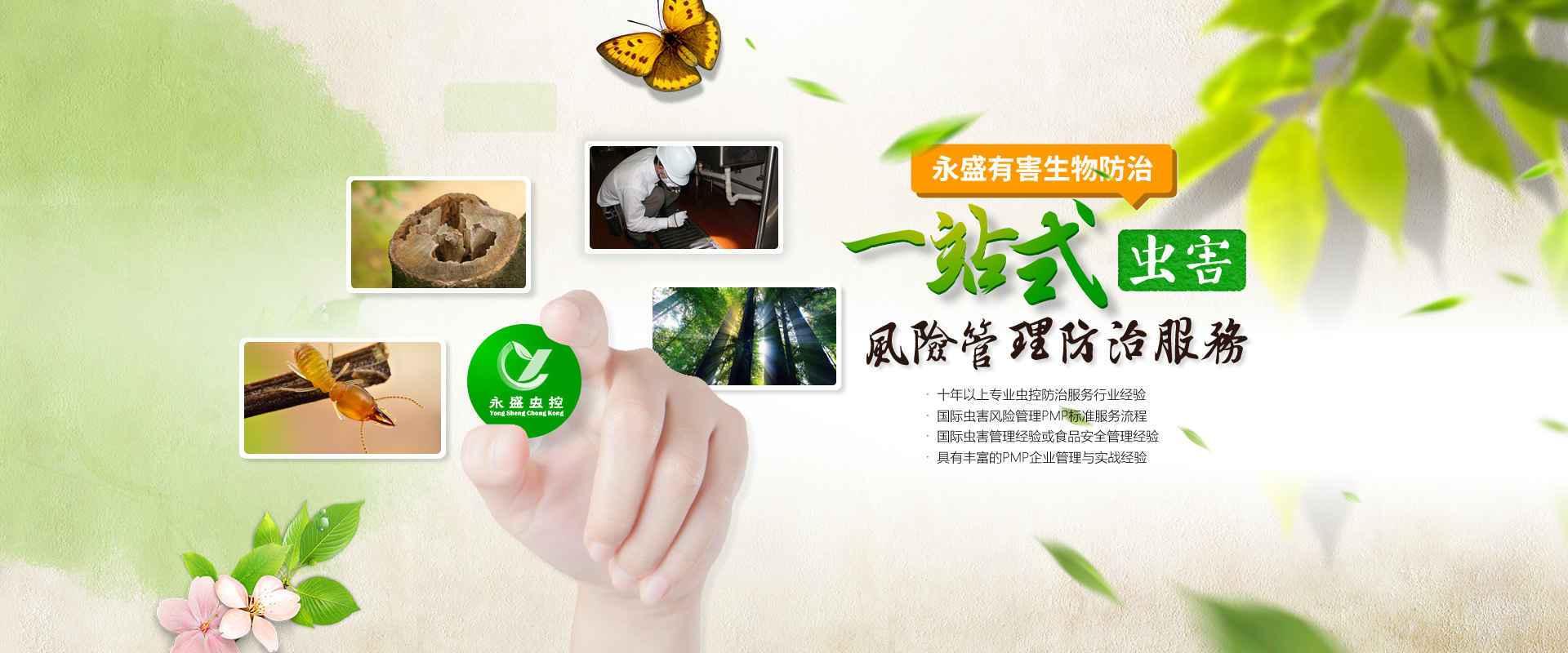 中山除甲醛，中山滅白蟻公司網(wǎng)站banner圖
